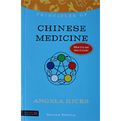 Principles of Chinese medicine