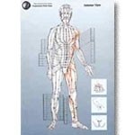 Meridian charts: posters
