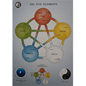 Five element: poster