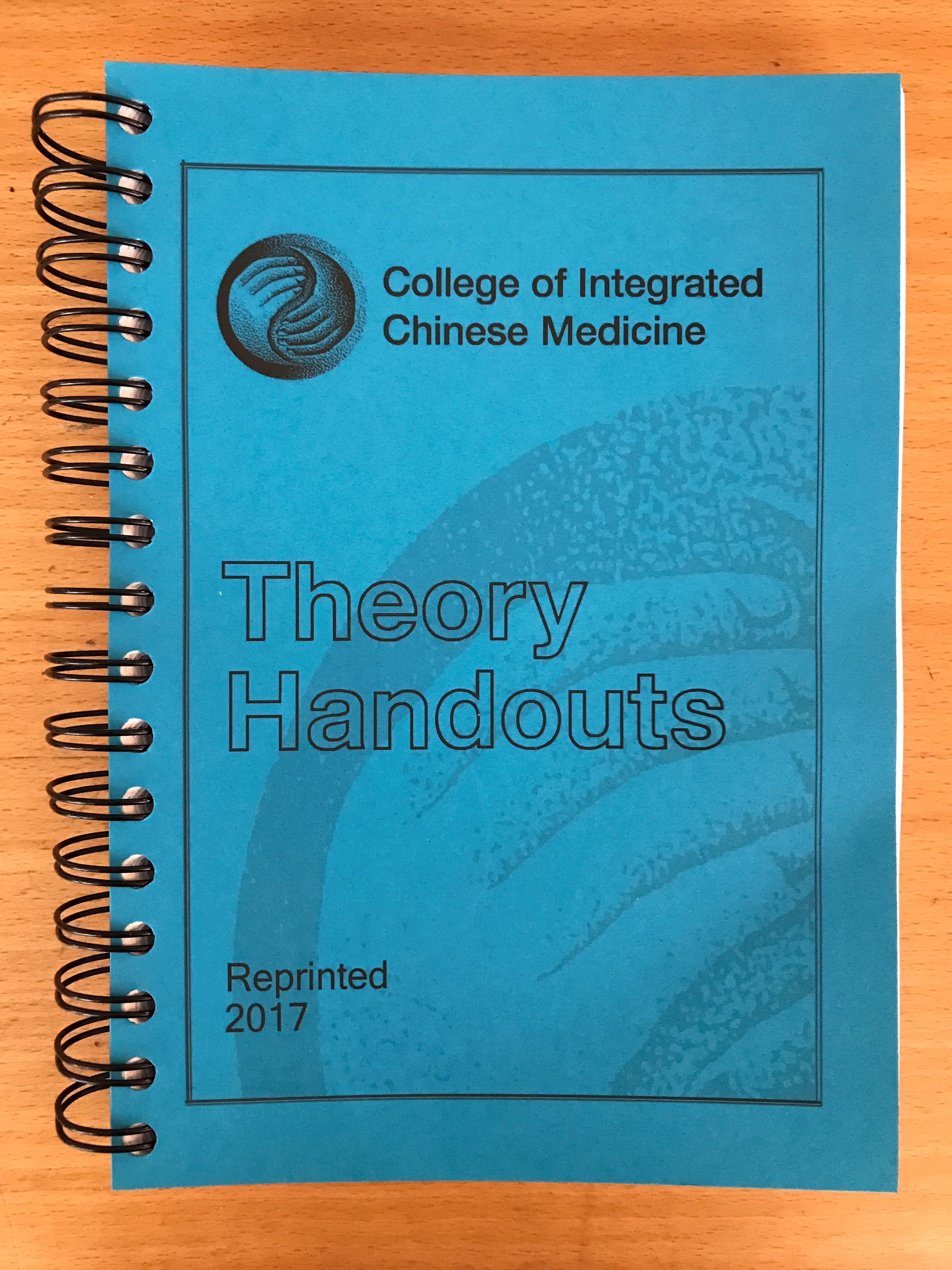 Theory guide - A5 size (out of stock)